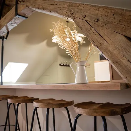 Le Petit-saint-nicolas Appartement Troyes